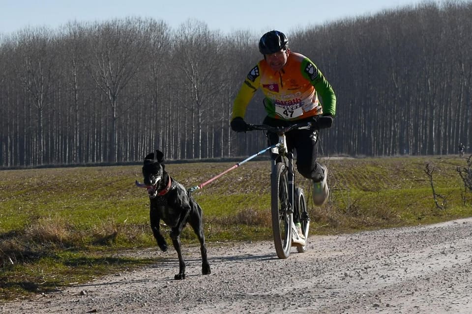 Musher practicando patín. Practica canicross y bikejoring en Madrid