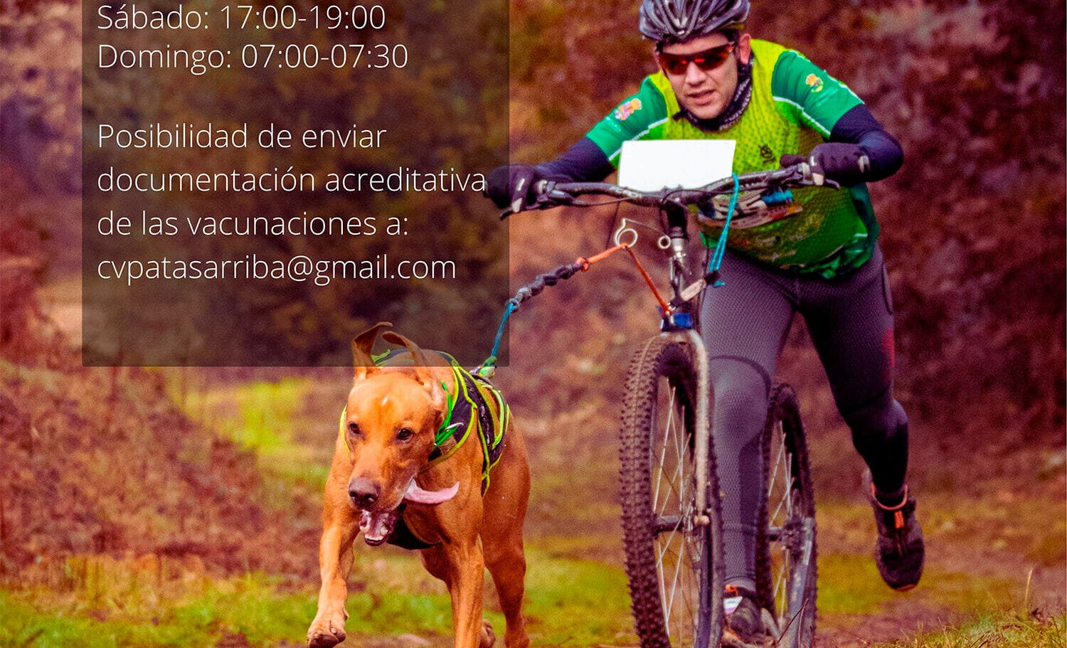 Cartel publicitario del Trofeo mushing miguelturra 2022